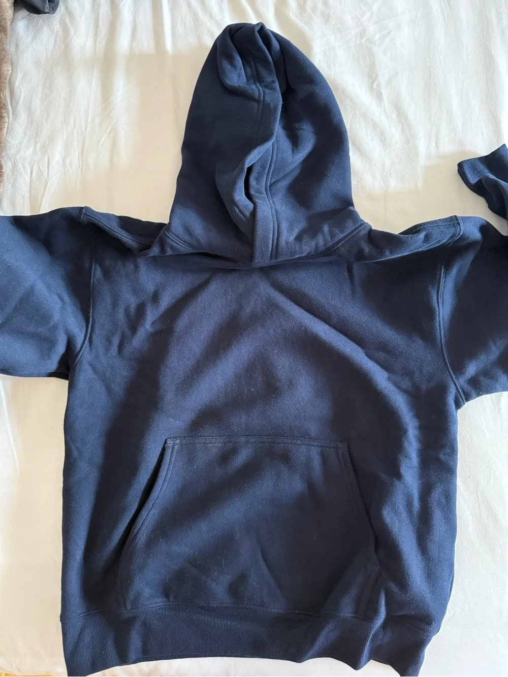 Aritizia cozy sweat fleece perfect hoodie